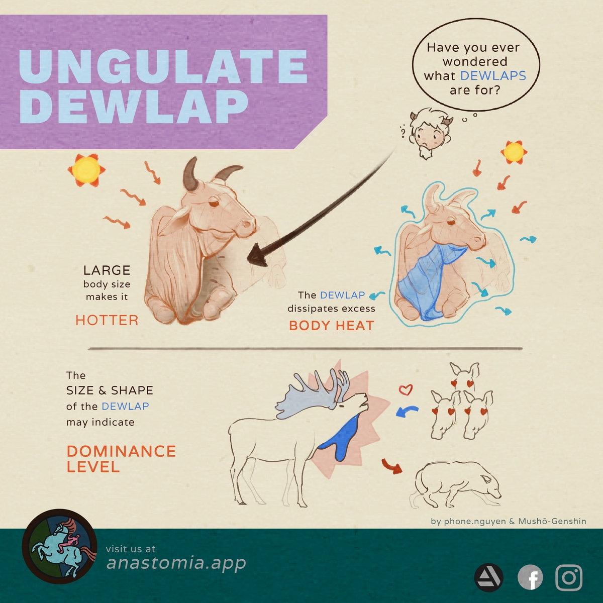 a001-ungulate-dewlap